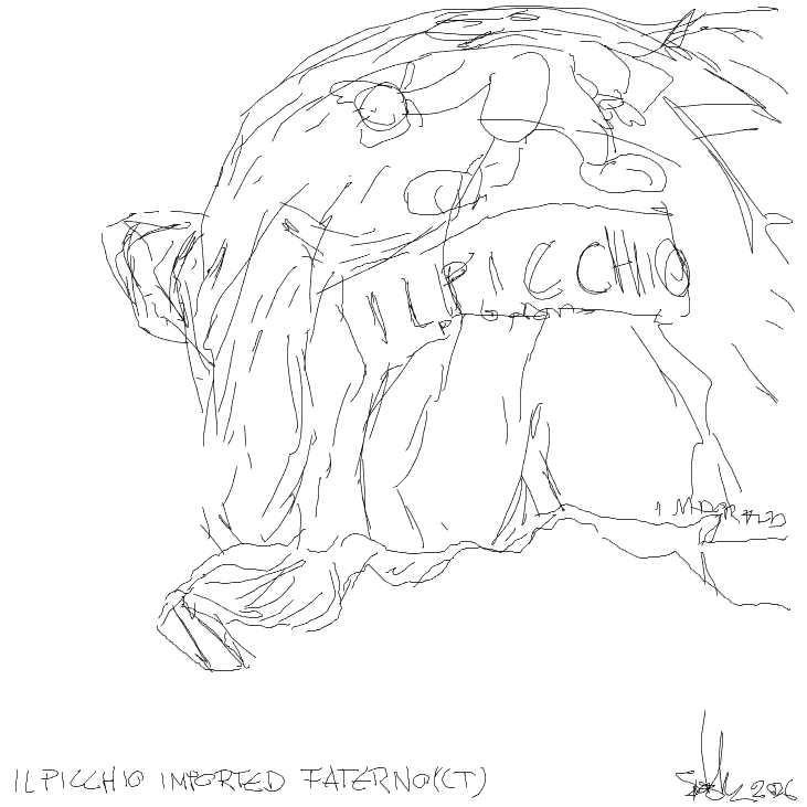 Drawing Nr 5846 by wedodraw.com